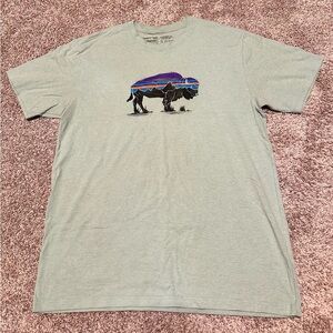 Patagonia Fitz Roy Bison P-6 Responsibili-Tee - Men’s Large - Mint